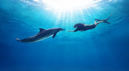 ドルフィンアイランド_アドベンチャー